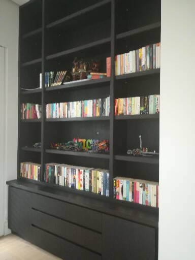 Fa Pereira Book Shelving Image 02